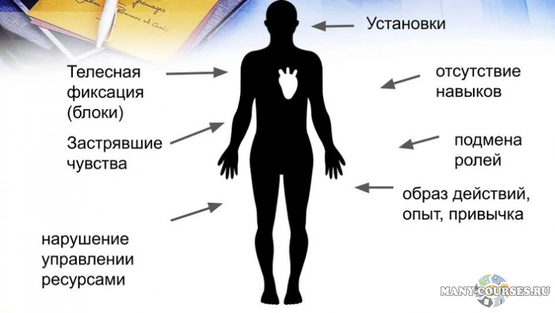 Мария Ковалева - Метод Универсальных Трансформаций. (2021)