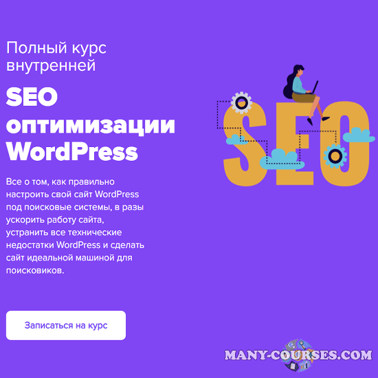 Юлия Литвина - Полный курс внутренней SEO оптимизации WordPress