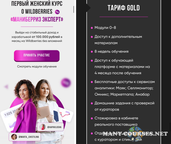 Марта Чистилина, Анастасия Павлова - Маниберриз эксперт. Тариф Gold