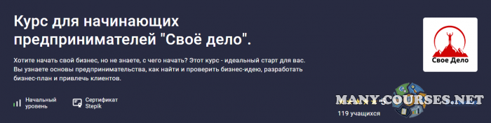 Stepik / Валерия Качулина - Курс для начинающих предпринимателей «Своё дело» (2024)